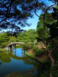 【桂離宮】日本庭園の最高峰へ🌿美と静寂が織りなす“究極の空間”