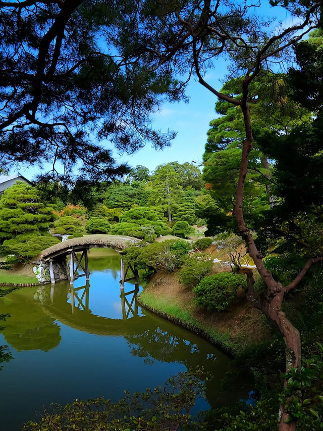【桂離宮】日本庭園の最高峰へ🌿美と静寂が織りなす“究極の空間”