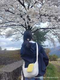 ปิกนิกริมทะเลสาบที่ Wakakusa-no-yado Maruei Hotel