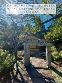 🖼知る人ぞ知る！自然の中にある博物館 in 小田原🖼