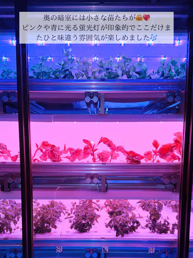 🌷入館料たったの100円!!都会にある大人の癒されスポット in 渋谷🌷 🌷入館料たったの100円!!都会にある大人の癒されスポット in 渋谷🌷