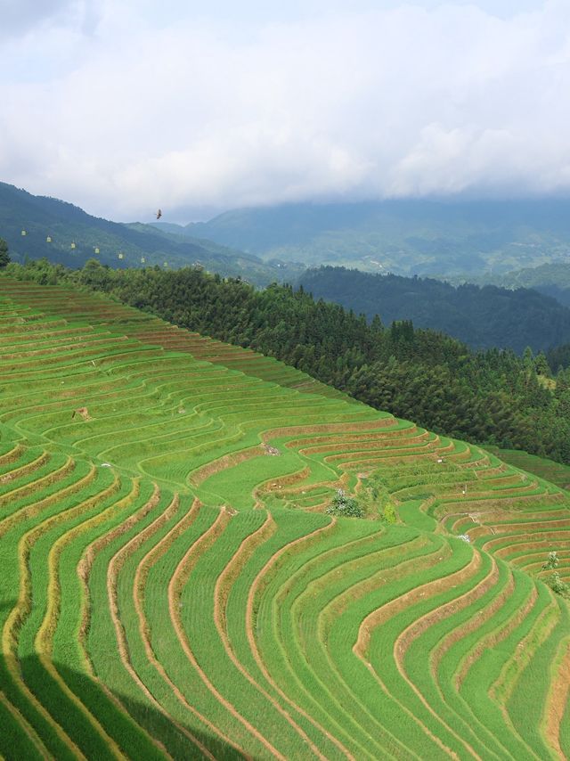 Beautiful Longji 