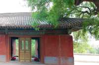 武威海藏寺：融合漢藏佛教文明的心靈勝地