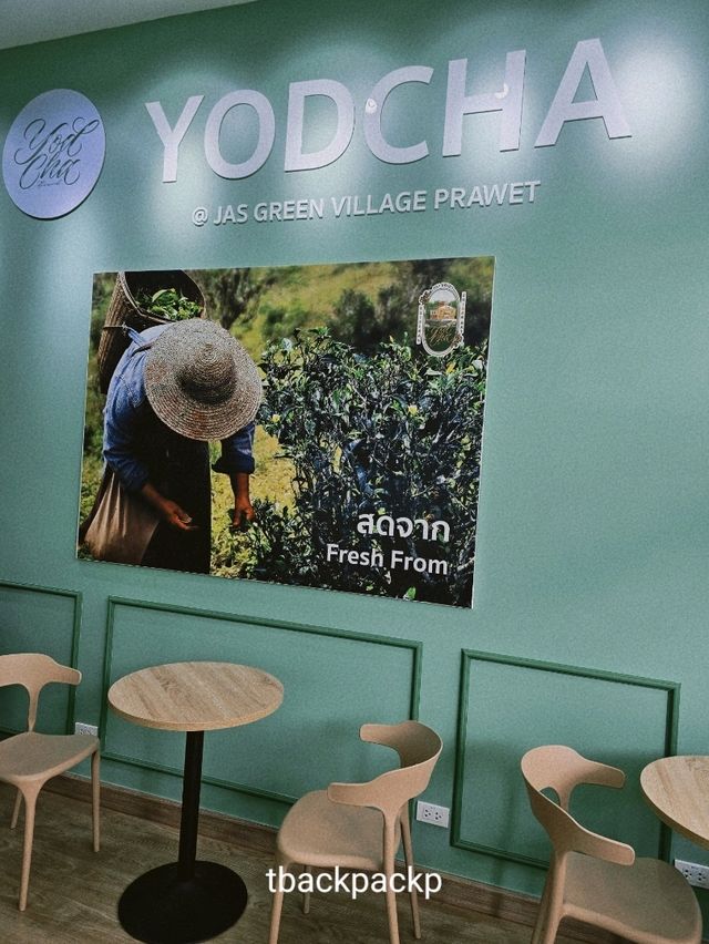 ยอดชา ร้านชาเจ้าดังมาจากเชียงใหม่ ถึงแล้วประเวศ📍
