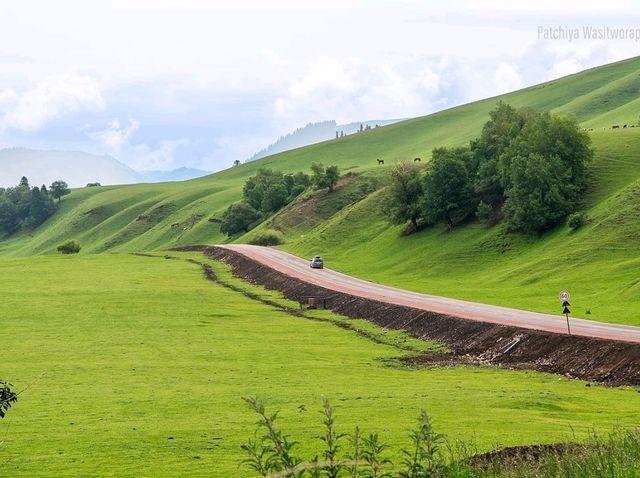 Nalati Grassland Is Straight Up Gorgeous