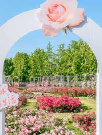 Hangzhou Xixi Rose Garden｜A Stroll Through Monet’s Painting 🎨🌹