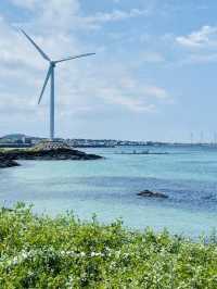 A Peaceful, Untouched Coastal Escape
