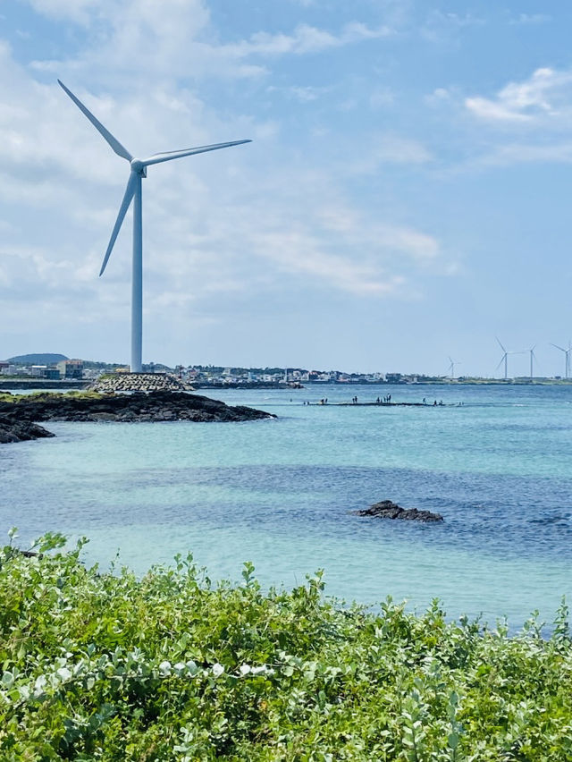 A Peaceful, Untouched Coastal Escape