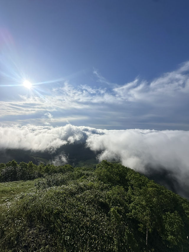 【北海道】絶景の雲海☁️死ぬまでに見たい絶景