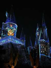 🪄Magical Night - Universal Beijing Resort 🎢✨