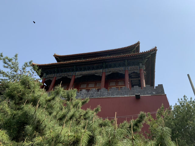 ✈️【From Lingnan Charm to Imperial Grandeur｜A Tale of Two Cities in China】
