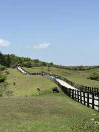 Qingtiangang grassland 