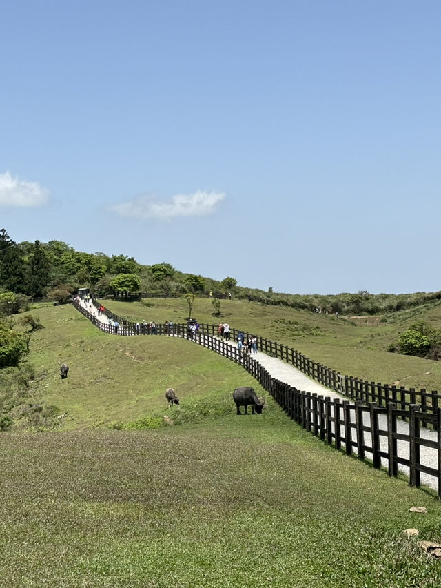 Qingtiangang grassland 