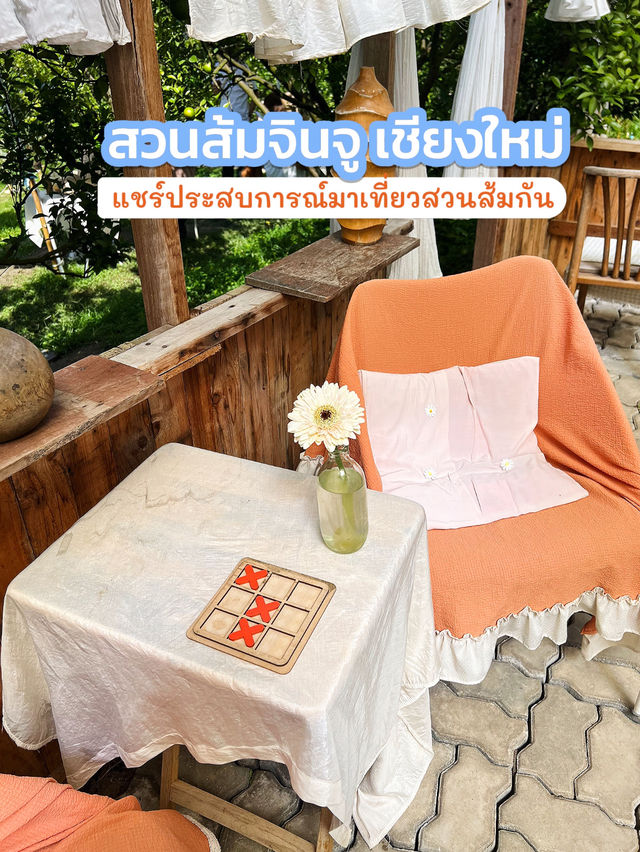 สวนส้มจินจู เชียงใหม่