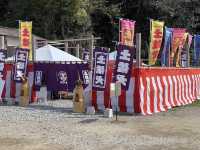 土佐犬🤍【土佐犬スタジオ】