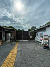 🇯🇵日本✈️名古屋池泉式庭園德川園