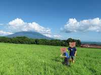 北海道高桥牧场