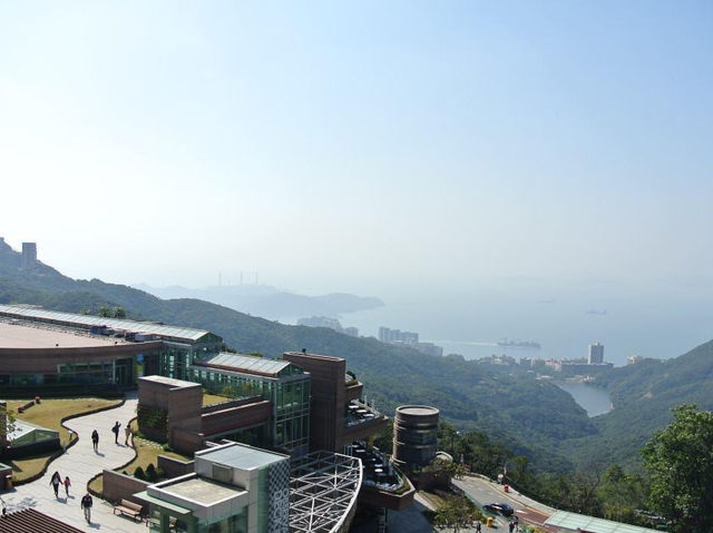 香港太平山頂曬攻略：使玩、使食、打卡同實用指南