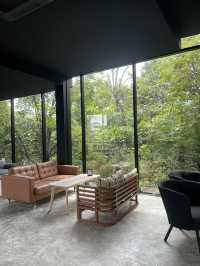หนีจากความวุ่นวาย…สู่ cafe ป่า