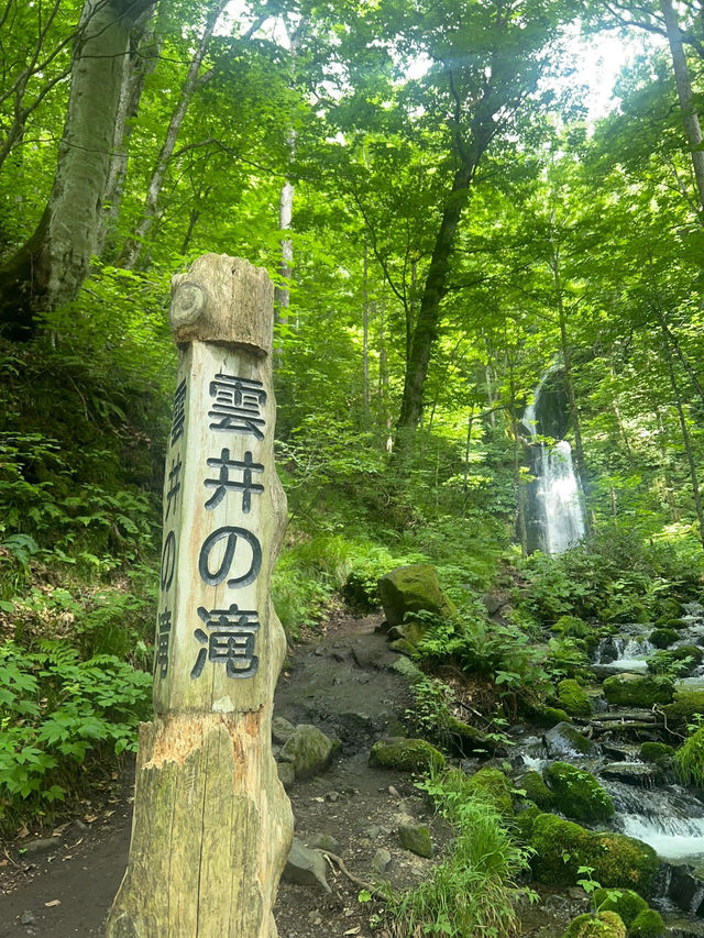 【奥入濑溪流｜流淌在青森的森林詩篇】