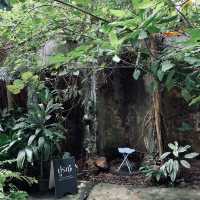 ☕️ ปูรณ์ (POON) คาเฟ่ฟีลธรรมชาติกลางบางแสน🌿