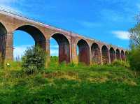 Reddish Vale Country Park – Nature on the Edge of the City