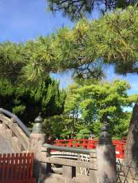 【鎌倉】絶景！マストで行きたい映える寺院と神社