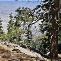 Mount San Jacinto State Park (Idyllwild)