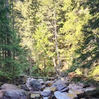 Glacier National Park 