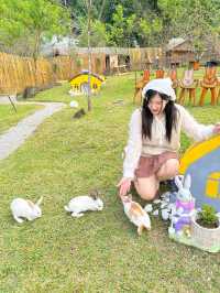 🏡 เตญ่า ฟาร์มวิลล์ คาเฟ่
