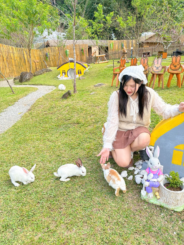 🏡 เตญ่า ฟาร์มวิลล์ คาเฟ่