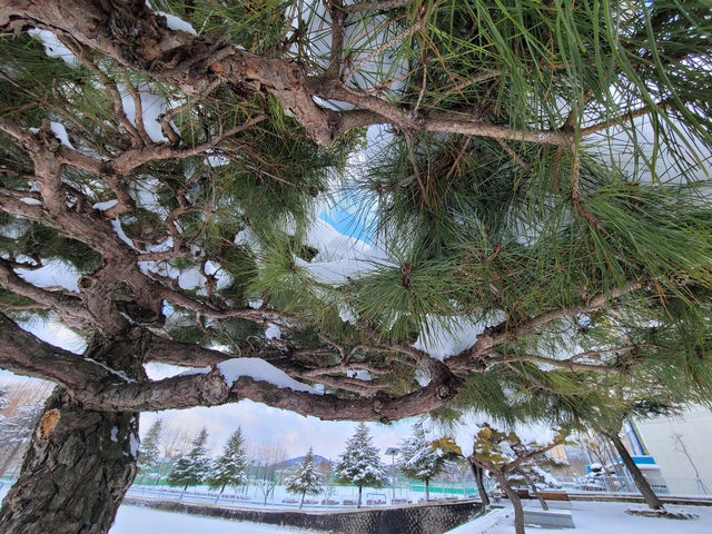 🌲 남원 여행가이드 ✨ 남원 만인의총
