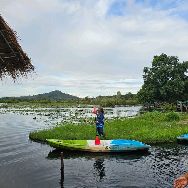 🚣พายแคนูชมวิว ที่สวนพฤกษศาสตร์ระยอง 🚣