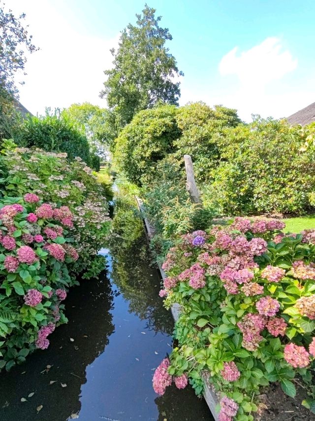 Late Summer Blooms in Giethoorn