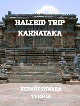 TAILBIT TRIP