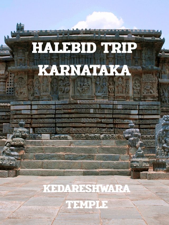 HALEBID TRIP