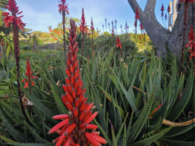 Auckland Botanic Gardens