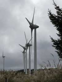 33基の風力発電が並ぶ風と絶景の公園