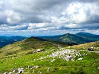 【愛媛】天空の草原 四国カルスト・姫鶴平🐮⛰️