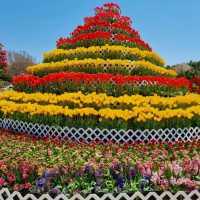 코리아플라워파크, 태안 바닷가에 핀 꽃의 향연 🌼