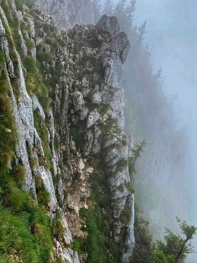 🏞️ Piatra Craiului National Park – Nature’s Majestic Playground