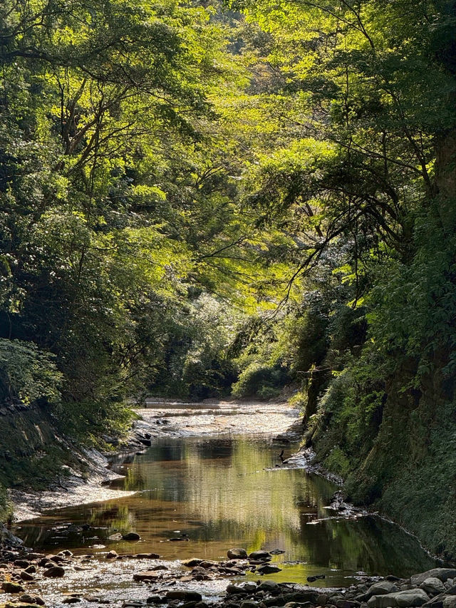 自然満喫ツアー