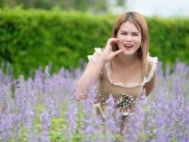 เที่ยวชมดอกไม้ที่ สวนลุงเวศน์🌻