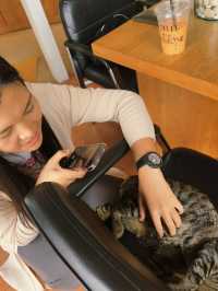 คาเฟ่อำเภอแกลง จังหวัดระยอง