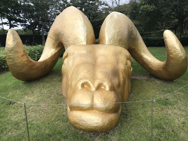 【霧島アートの森】大自然に溶け込む幻想アート体験🎨🌲 【霧島アートの森】大自然に溶け込む幻想アート体験🎨🌲