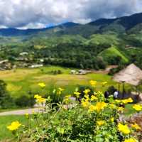 หยุดเวลา cafe - น่าน 🍃⛰️