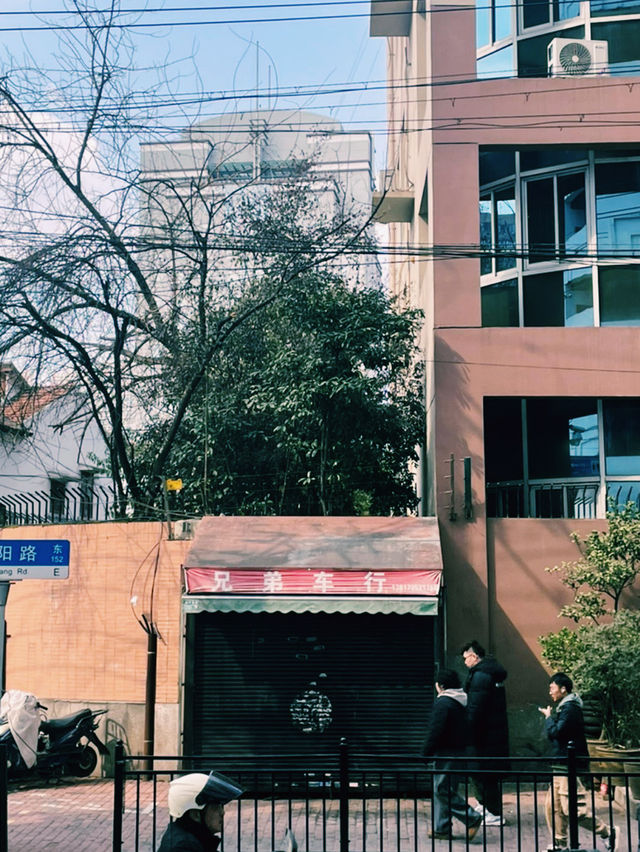 동방명주 불빛 아래, 상하이의 밤을 걷다 동방명주 불빛 아래, 상하이의 밤을 걷다