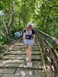 Taipei Nature Dive🍃