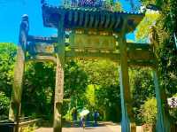 Castle Peak Monastery (Tsing Shan Monastery) – A Spiritual Escape Above the City