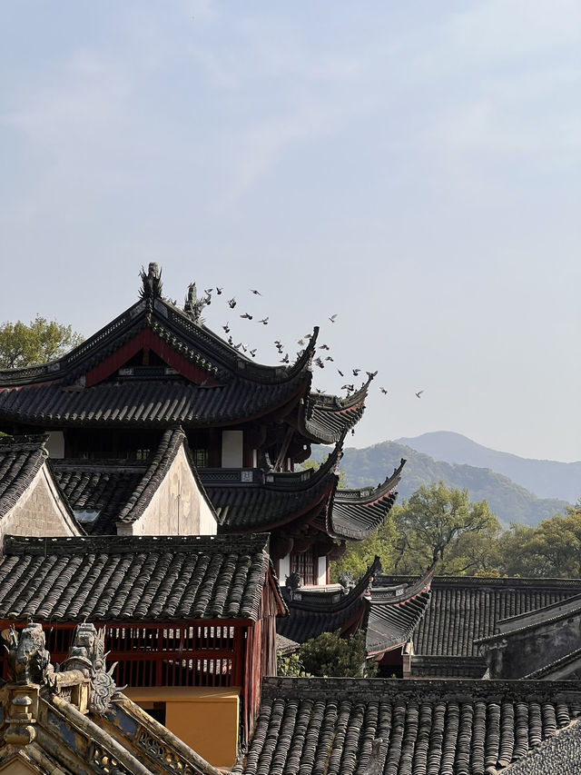 วัดเทียนทง วัดพุทธโบราณกว่า 1,700 ปี ที่หนิงโป 🏯 วัดเทียนทง วัดพุทธโบราณกว่า 1,700 ปี ที่หนิงโป 🏯